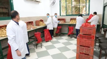 الزراعة تستعرض أبرز أنشطة مكافحة العفن البني في البطاطس خلال ابريل الماضي