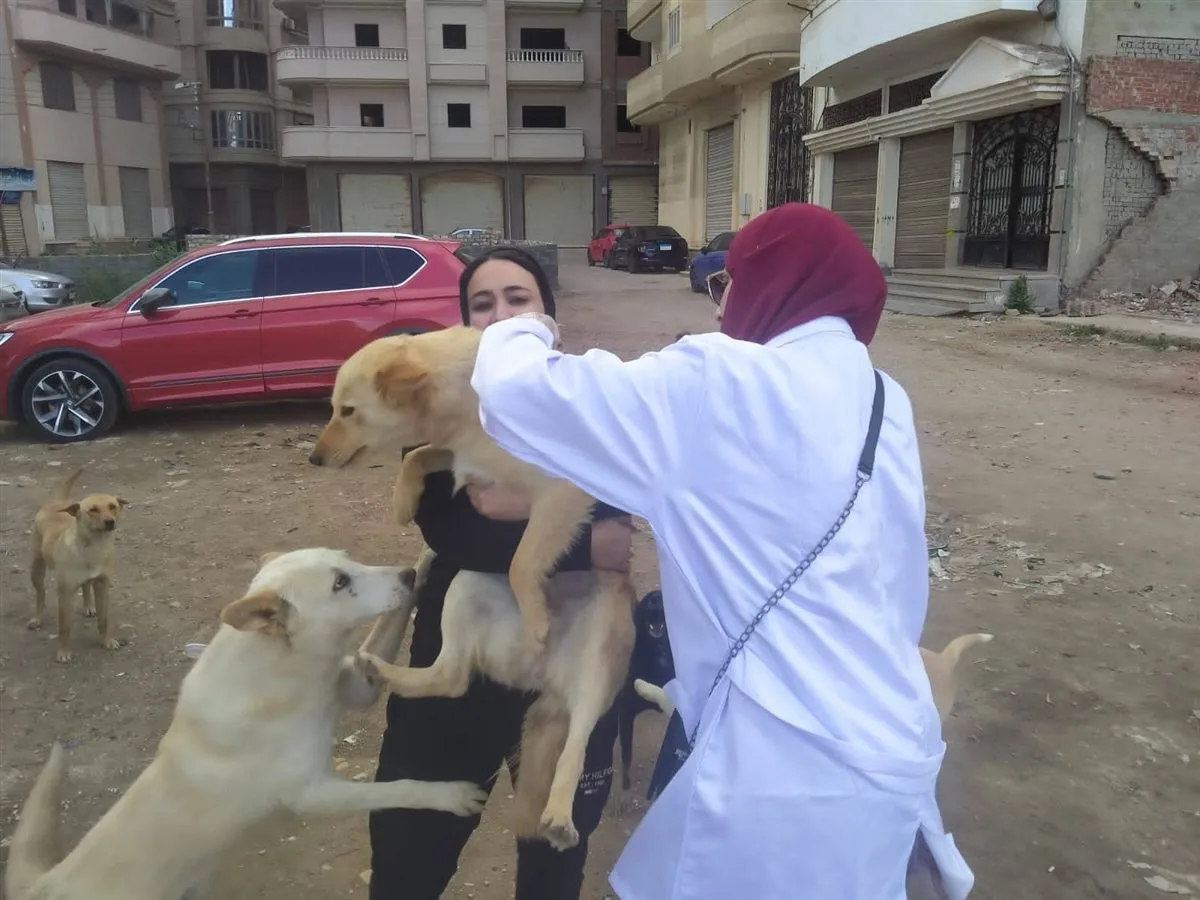 الزراعة تكثف جهودها لرصد الأمراض الوبائية الحيوانية وتوسع التحصينات الوقائية للبروسيلا والسل