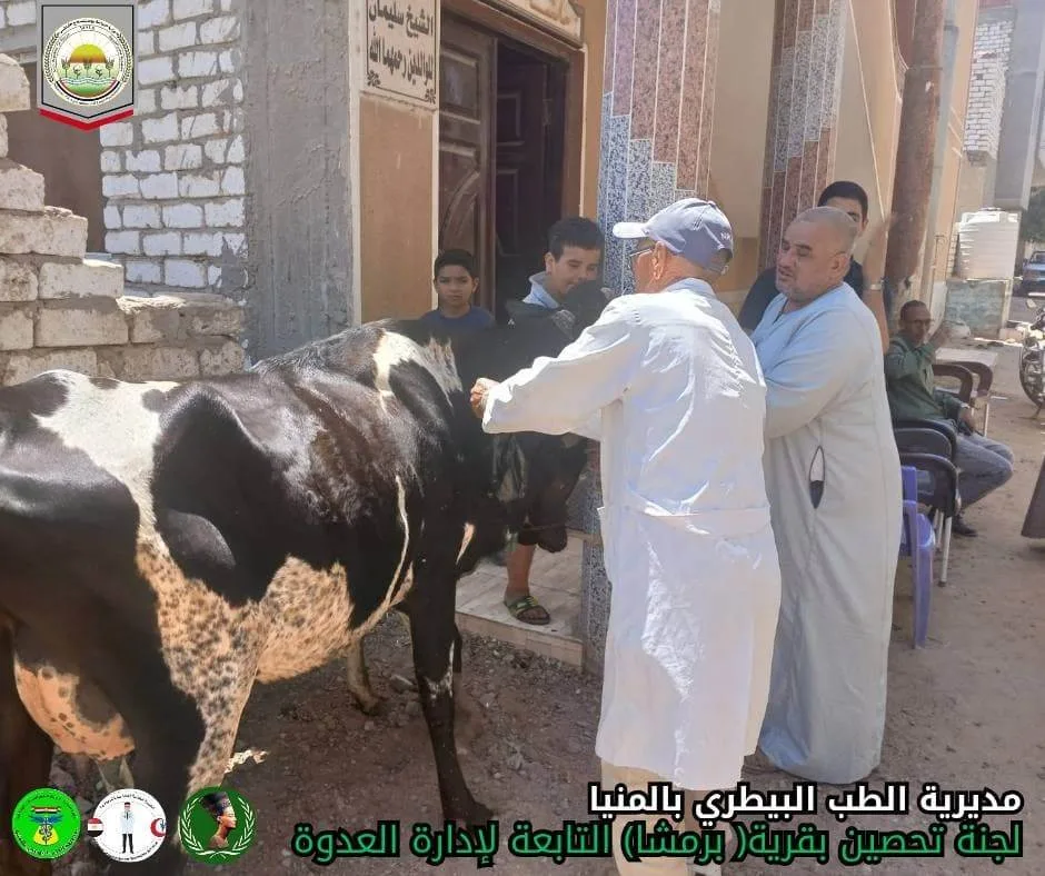 الزراعة: توفير أكثر من 6.8 مليون جرعة لضمان حماية الماشية من الحمى القلاعية والوادي المتصدع الزراعة: توفير أكثر من 6.8 مليون جرعة لضمان حماية الماشية من الحمى القلاعية والوادي المتصدع