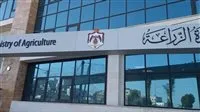 “الزراعة” تُعلن: مراقبة مستمرة لمزارع الدواجن دون تسجيل أي حالات نفوق