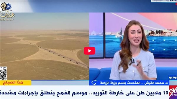 الزراعة: نستهدف الوصول لـ 10 ملايين طن قمح هذا العام (فيديو)