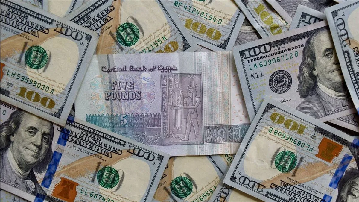 الزلزال يُحدث تأثيرًا على سعر الدولار في ختام تداولات يوم 15/5/2025 الزلزال يُحدث تأثيرًا على سعر الدولار في ختام تداولات يوم 15/5/2025