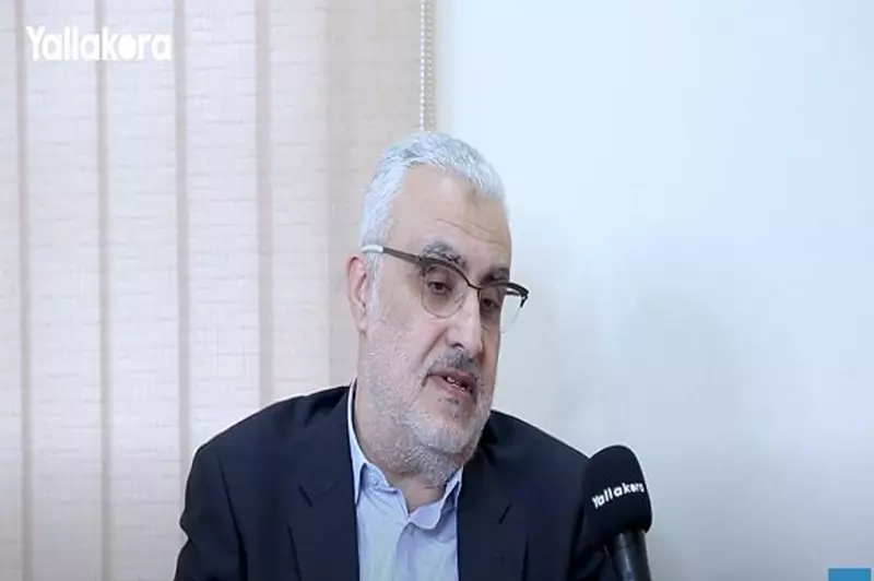 الزمالك: نتواصل مع الفيفا بشأن رفع حظر التسجيل في قضية بوطيب وباتشيكو الزمالك: نتواصل مع الفيفا بشأن رفع حظر التسجيل في قضية بوطيب وباتشيكو