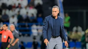 الزمالك يعلن أحدث المستجدات بشأن تسوية مستحقات جوميز