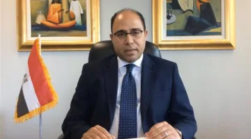 السفير أحمد أبو زيد: الاتحاد الأوروبي يستمع باستمرار لوجهة نظر مصر في المسائل الإقليمية