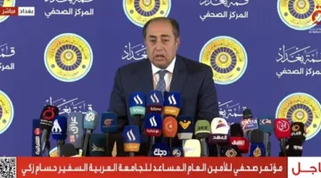السفير حسام زكي يوضح تفاصيل انسحاب الإمارات من القمة العربية في بغداد