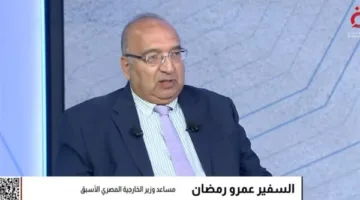 السفير عمرو رمضان: القمة العربية القادمة ستتناول 7 قضايا رئيسية، في مقدمتها القضية الفلسطينية.