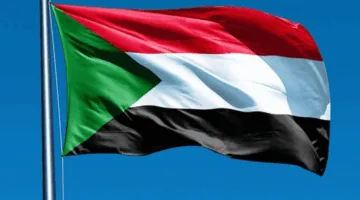 السودان: 14 ضحية نتيجة قصف على مخيم للاجئين
