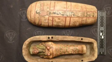 السياحة والآثار تستعيد 7 قطع أثرية من فرنسا