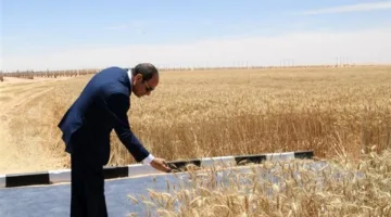 السيسي: منطقة الدلتا الجديدة ستستقبل مليوني عائلة من خلال تخطيط عمراني شامل.