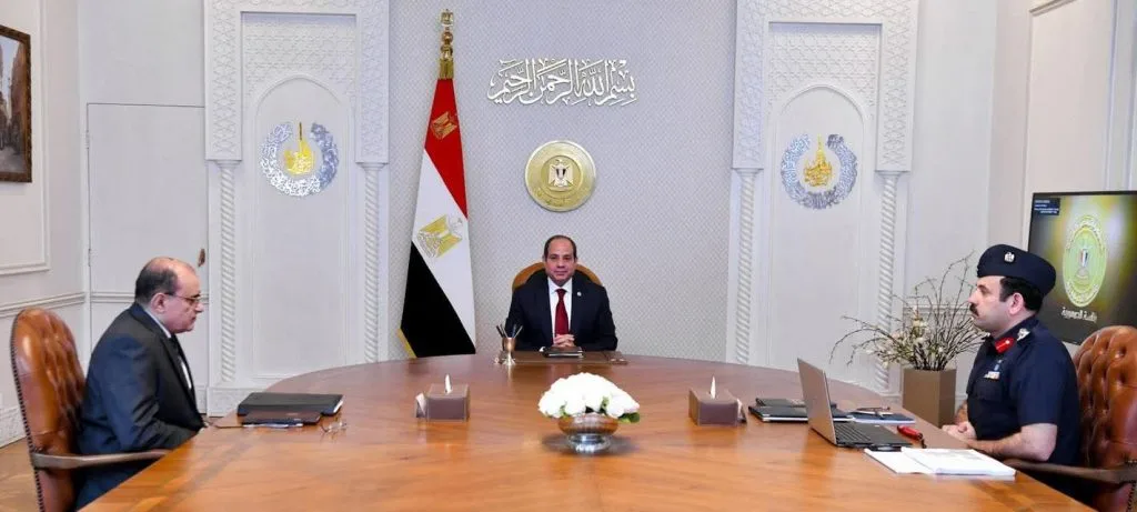السيسي يشدد على أهمية توفير السلع الأساسية لفترات كافية