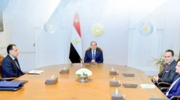 السيسي يلتقي بالمدير التنفيذي لشركة «شل» العالمية