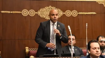 السيسي يناقش القضية الفلسطينية برؤية جريئة (فيديو)