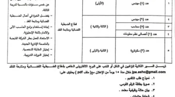 الشركة القابضة لكهرباء مصر تُعلن عن فرص عمل في قطاع ضبط الفقد