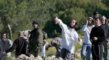 الضفة الغربية.. اعتداء مستوطنين على فلسطينيين وداعميهم