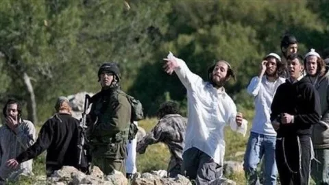 الضفة الغربية.. اعتداء مستوطنين على فلسطينيين وداعميهم الضفة الغربية.. اعتداء مستوطنين على فلسطينيين وداعميهم