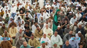الطرق الصوفية تنهي احتفالات بمولد مؤسس الطريقة المغازية في كفر الدوار