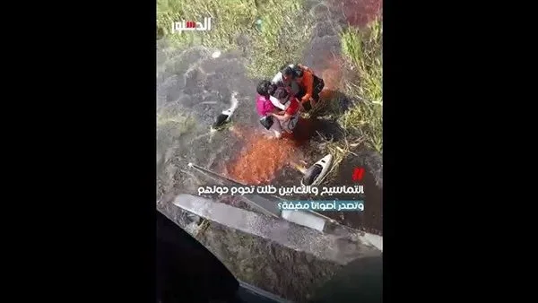 الطيارة وقعت في بحيرة تماسيح.. قصة 36 ساعة مخيفة قضاها ركاب في بوليفيا (فيديو)