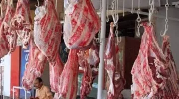 العجل بسعر 80 ألف جنيه.. «القصابون» يعلنون أسعار اللحوم قبيل عيد الأضحى