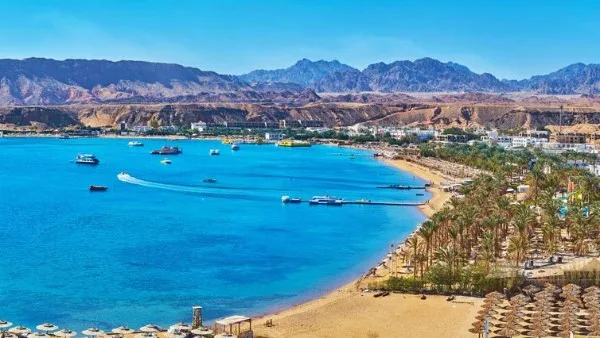 الغرف السياحية تكشف فوائد التأشيرة الإلكترونية