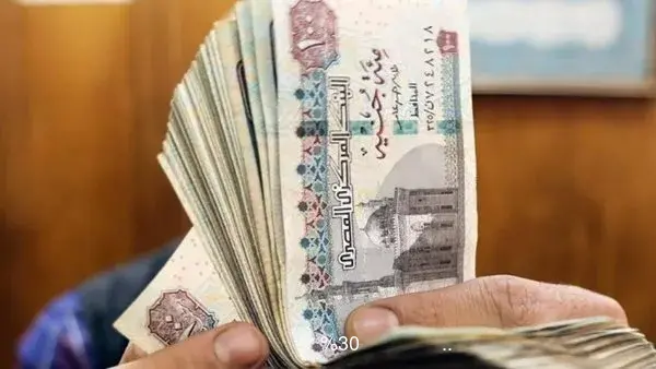 الفئات المسموح لها الجمع بين معاشين.. زيادة تصل إلى 30%
