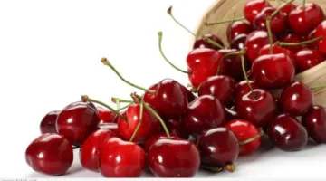 الفوائد الصحية والجمالية للكرز الأحمر