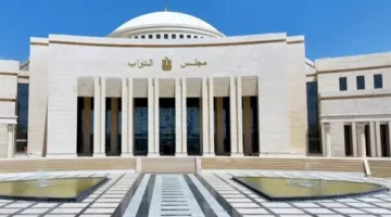 مجلس النواب يصدق على اتفاقية الطيران بين مصر ونيوزيلندا