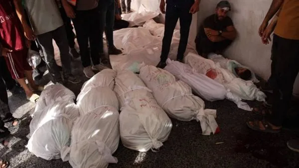 القاهرة الإخبارية: شهيدان وجريح في قصف إسرائيلي استهدف مواطنين غرب بلدة بيت لاهيا