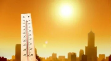 القاهرة تسجل 36 درجة مئوية.. الأرصاد توضح حالة الطقس ليوم السبت 24 مايو 2025
