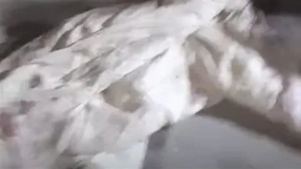 القبض على شاب قتل والده وأخفى الجثمان أسفل بلاط الشقة لمدة 8 سنوات