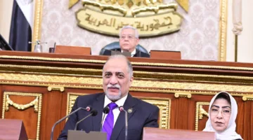 القصبي: تم تعديل قوانين انتخابات مجلسي النواب والشيوخ استنادًا إلى أحدث البيانات السكانية