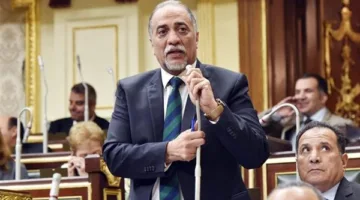 القصبي: لا يوجد نظام انتخابي خالٍ من العيوب.. والوقت الراهن يتطلب التركيز على استقرار الوطن.