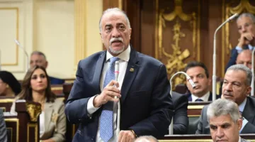 القصبي يشرح أبرز جوانب التعديلات على قوانين انتخابات مجلسي النواب والشيوخ