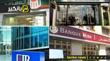 القصة ليست مجرد مكاسب… كيف تساهم البنوك في تنشيط الإنتاج في مصر؟
