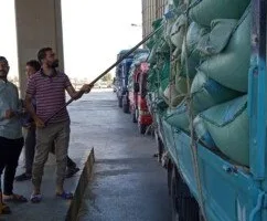 القمح الأصفر يملأ صوامع المنيا.. تم توريد 408 آلاف طن منذ انطلاق موسم 2025
