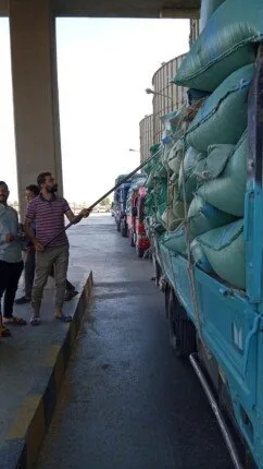 القمح الأصفر يملأ صوامع المنيا.. تم توريد 408 آلاف طن منذ انطلاق موسم 2025 القمح الأصفر يملأ صوامع المنيا.. تم توريد 408 آلاف طن منذ انطلاق موسم 2025
