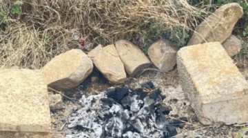 القوات الخاصة للأمن البيئي تقبض على مواطن خالف نظام البيئة بإشعال النيران في الأراضي النباتية بعسير