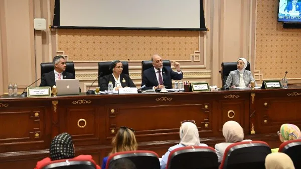 القومي لذوي الإعاقة يعرض خطته أمام “تضامن النواب” لموازنة 2025/2026