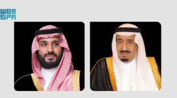 القيادة السعودية تستلم رسالتين من الرئيس المصري تتعلقان بالعلاقات الثنائية