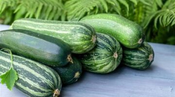 الكوسا: غذاء مفيد لصحة البروستاتا وتقليل مستويات الكوليسترول