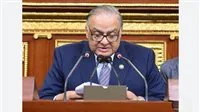 اللجنة التشريعية في النواب توضح أسباب تعديل تقسيم الدوائر الانتخابية