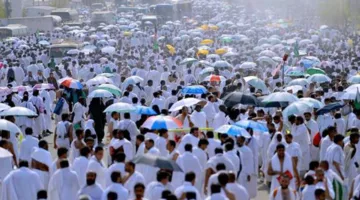 المؤتمر الصحفي الحكومي يرحب غدًا بوزراء الحج والنقل والصحة والإعلام لمناقشة استعدادات موسم الحج.