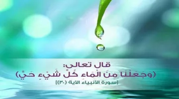 الماء: مصدر كل الكائنات الحية