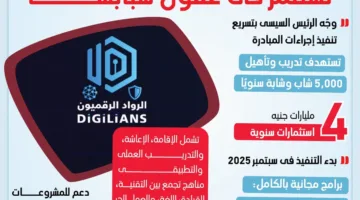 “المبتكرون الرقميون”.. مصر تضخ استثمارات في قدرات شبابها (إنفوجراف)