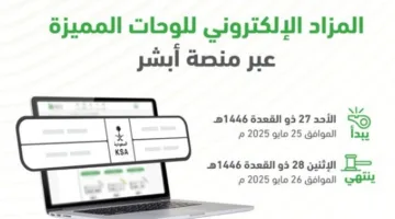 المرور: سيتم إطلاق مزاد اللوحات الرقمية يوم الأحد المقبل.