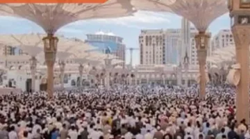 “المساعد الذكي”… تطبيق يستخدم الذكاء الاصطناعي لتقديم الخدمات للزوار وضيوف الرحمن بعدة لغات