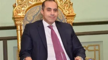 المستشار محمود فوزي: الرقابة القضائية على العملية الانتخابية مستمرة.