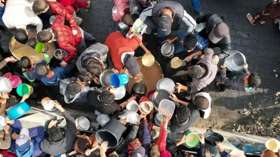 المستشفيات الميدانية في غزة: الحرب على الجوع تطال جميع فئات الشعب الفلسطيني المستشفيات الميدانية في غزة: الحرب على الجوع تطال جميع فئات الشعب الفلسطيني