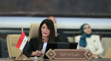 المشاط: التعاون بين الدول العربية يعزز قدرتنا على التعامل مع التحديات.