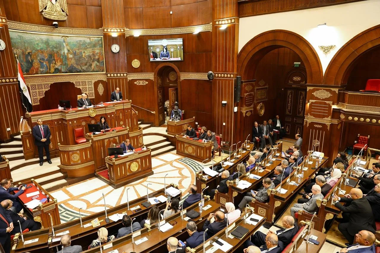 المشاط: الخطة الاقتصادية الجديدة تهدف إلى رفع الاستثمارات إلى 3.5 تريليون جنيه للمرة الأولى المشاط: الخطة الاقتصادية الجديدة تهدف إلى رفع الاستثمارات إلى 3.5 تريليون جنيه للمرة الأولى